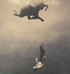 Gregory Colbert, Ashes and Snow.org